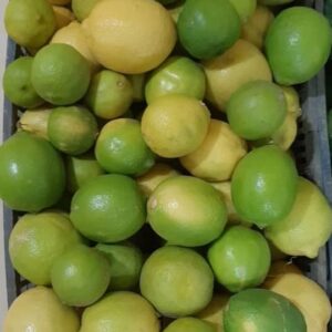 Lemon